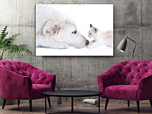 Obraz Mačiatko a pes 1562